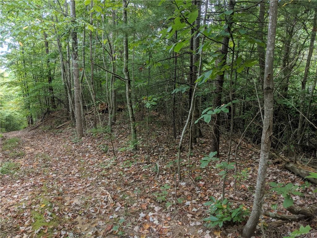 363 High Rock Mountain Road Marshall, NC 28753 - Photo 15 of 15 Gallery Image 15