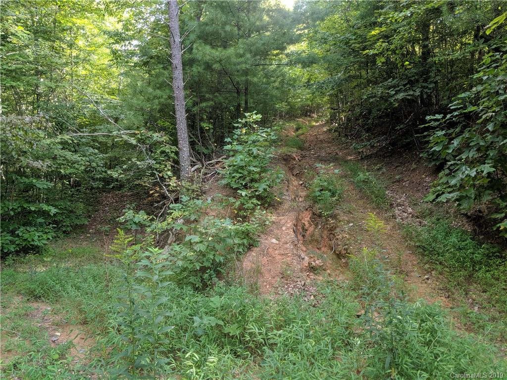 363 High Rock Mountain Road Marshall, NC 28753 - Photo 4 of 15 Gallery Image 4