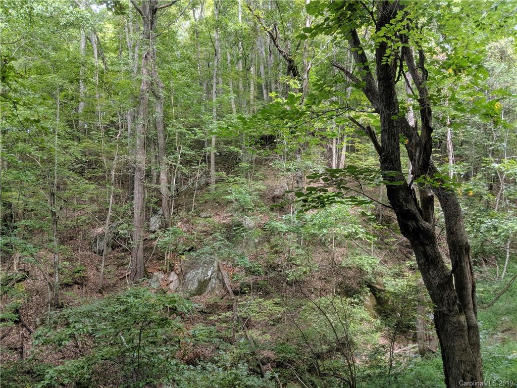 363 High Rock Mountain Road Marshall, NC 28753 - Photo 5 of 15 Gallery Image 5