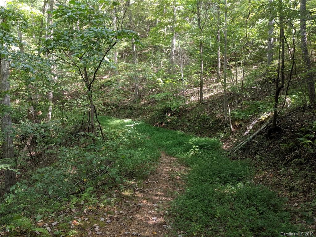 363 High Rock Mountain Road Marshall, NC 28753 - Photo 10 of 15 Gallery Image 10