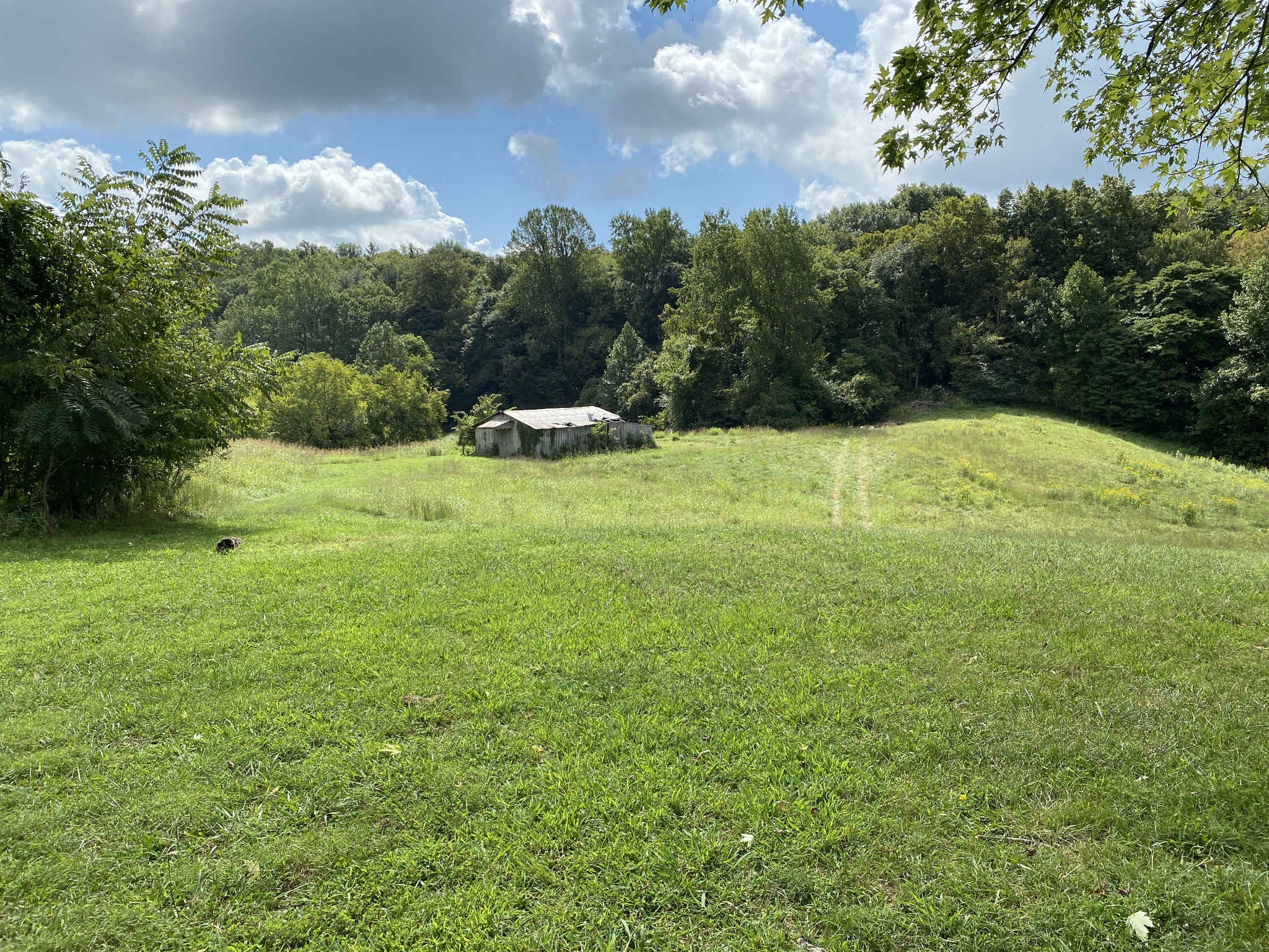 1906 Darks Mill Road Columbia, TN 38401 - Photo 1 of 15 Gallery Image 1