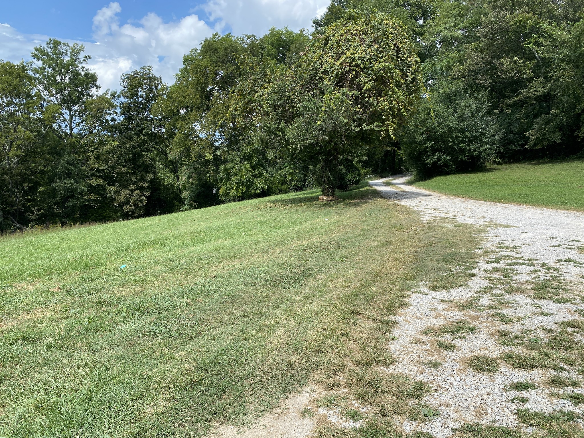 1906 Darks Mill Road Columbia, TN 38401 - Photo 11 of 15 Gallery Image 11