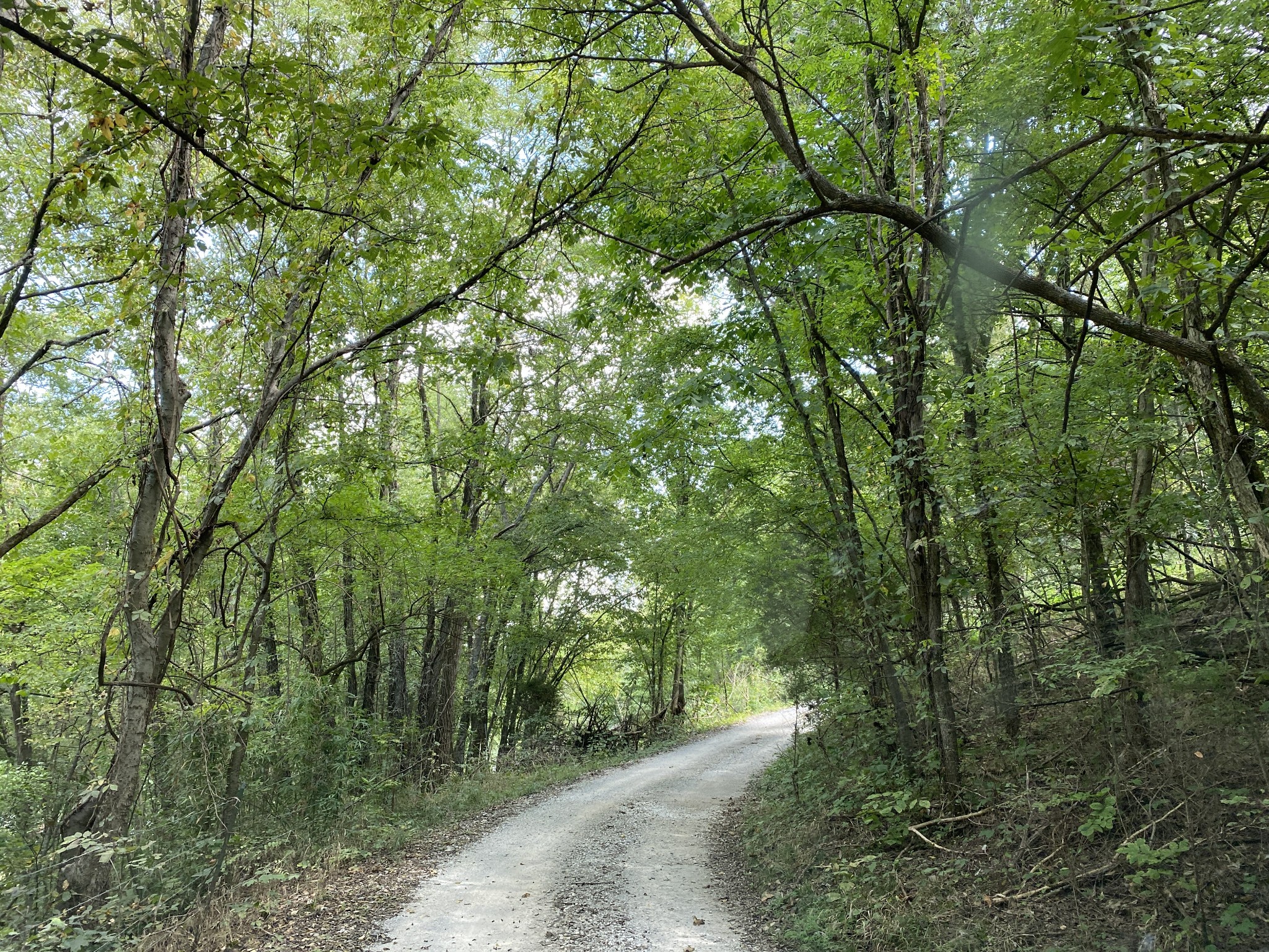 1906 Darks Mill Road Columbia, TN 38401 - Photo 14 of 15 Gallery Image 14