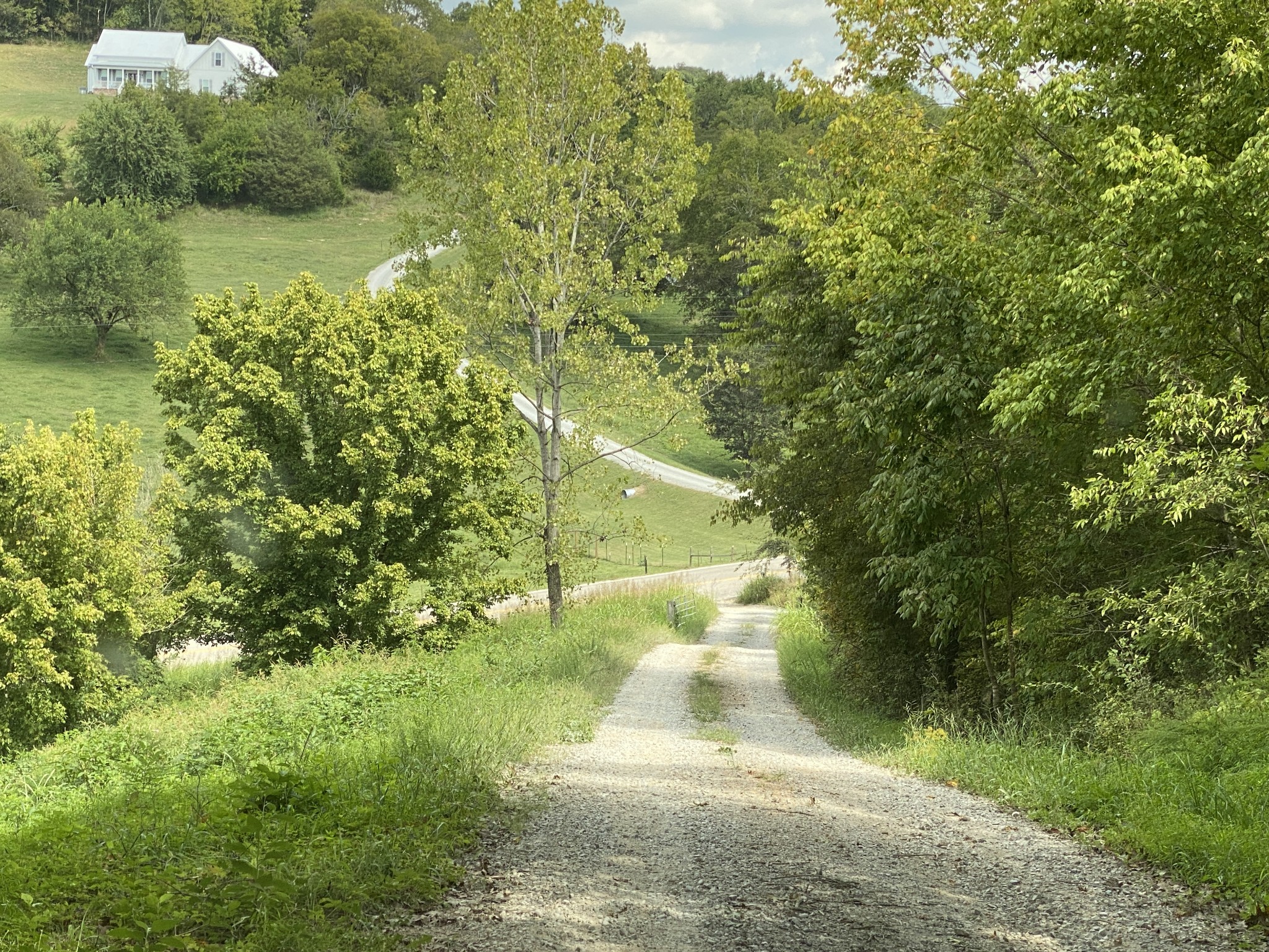 1906 Darks Mill Road Columbia, TN 38401 - Photo 15 of 15 Gallery Image 15