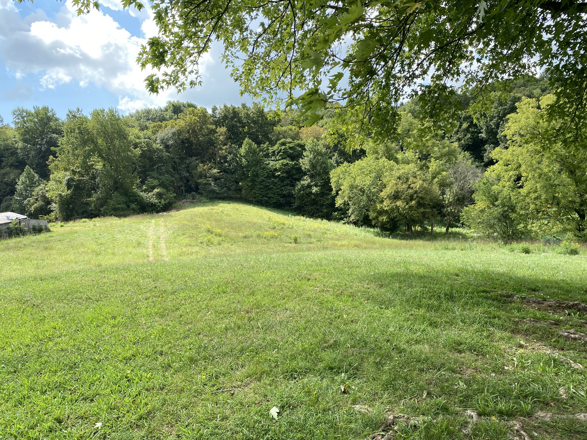 1906 Darks Mill Road Columbia, TN 38401 - Photo 3 of 15 Gallery Image 3