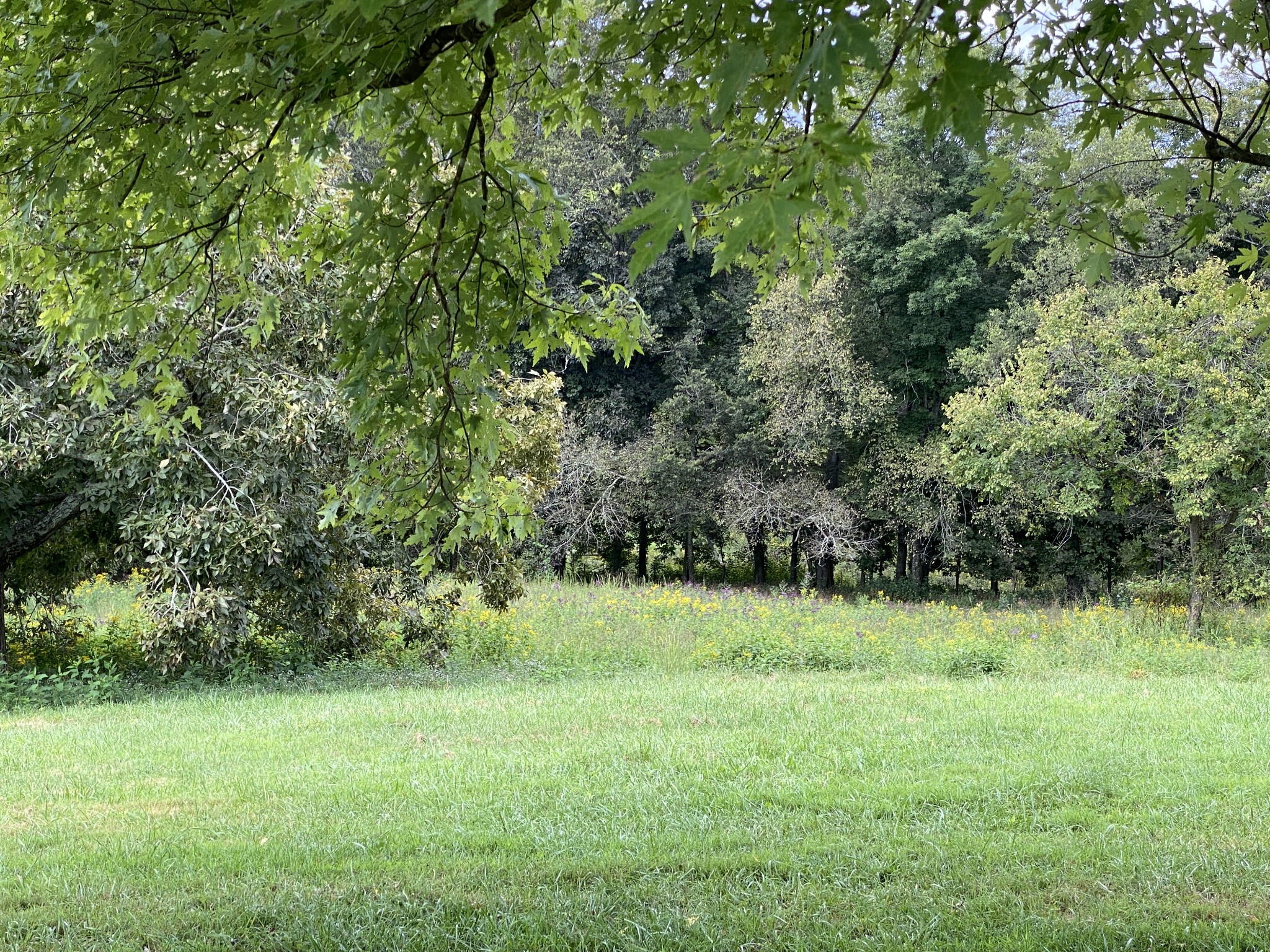 1906 Darks Mill Road Columbia, TN 38401 - Photo 7 of 15 Gallery Image 7