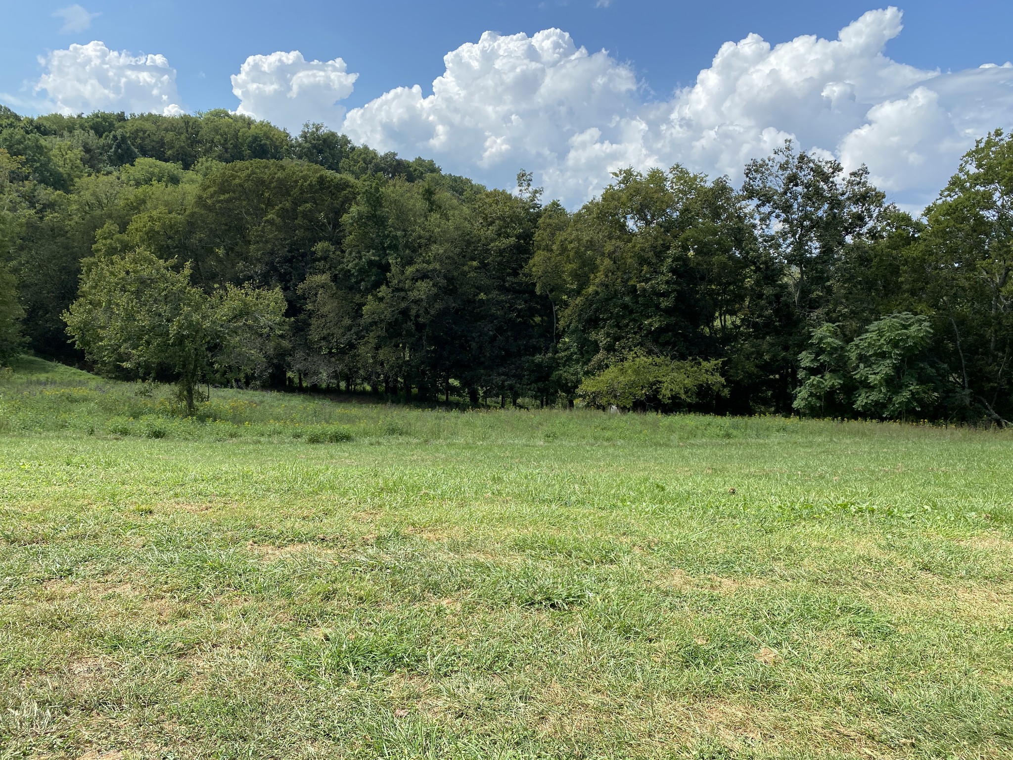 1906 Darks Mill Road Columbia, TN 38401 - Photo 8 of 15 Gallery Image 8