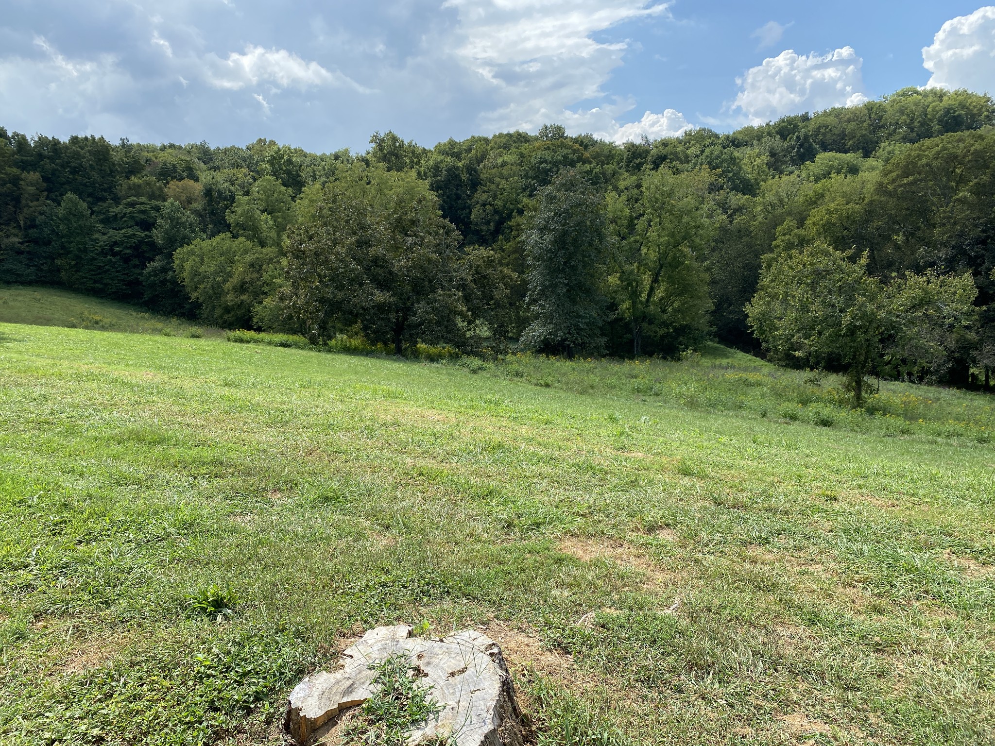 1906 Darks Mill Road Columbia, TN 38401 - Photo 9 of 15 Gallery Image 9