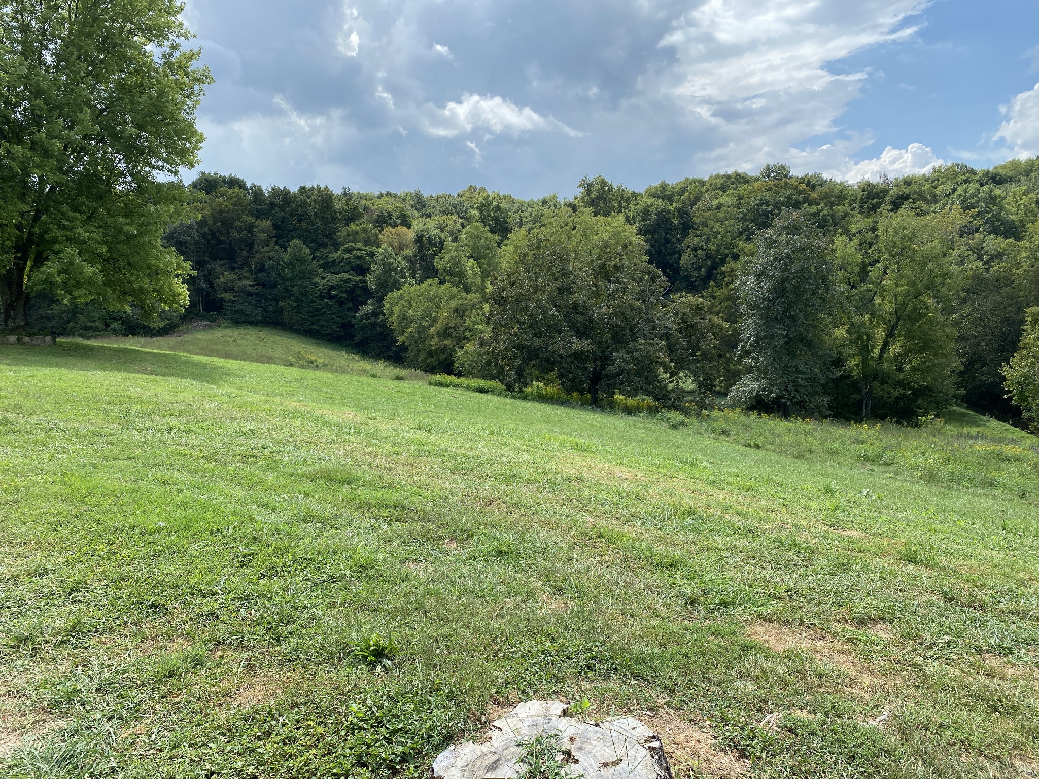 1906 Darks Mill Road Columbia, TN 38401 - Photo 10 of 15 Gallery Image 10