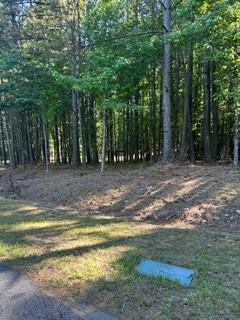 46 Davis Road Hiram, GA 30141 - Photo 17 of 17 a view of a yard with swimming pool