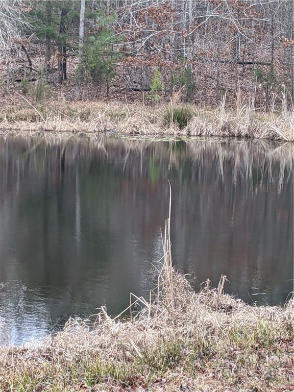 0 Flamingo Road Lancaster, SC 29720 - Photo 2 of 8 a backyard of a house