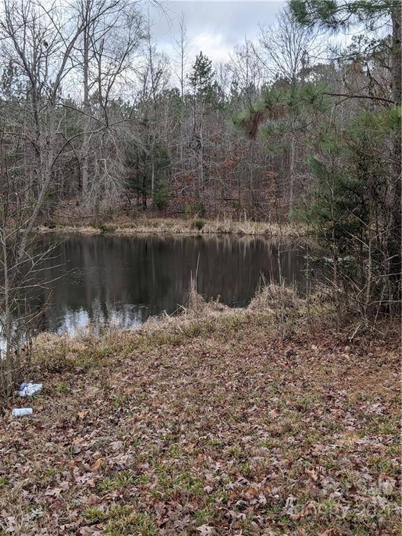 0 Flamingo Road Lancaster, SC 29720 - Photo 4 of 8 a view of a lake with a forest