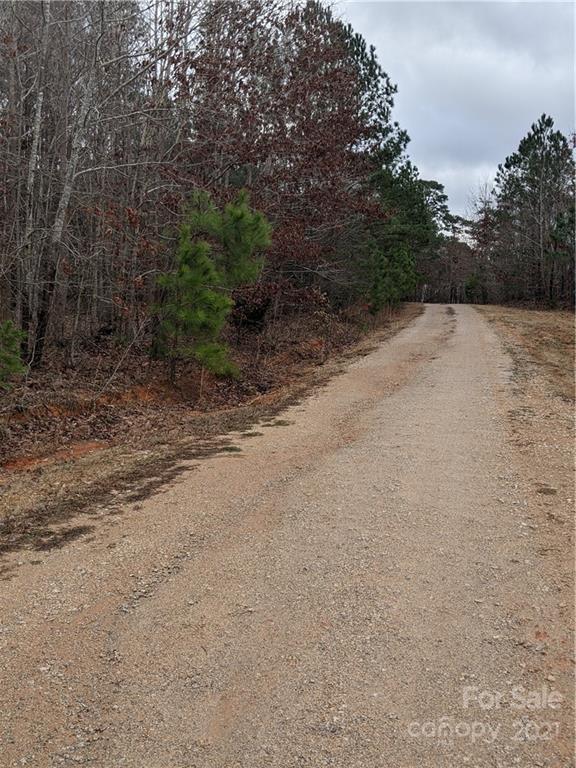 0 Flamingo Road Lancaster, SC 29720 - Photo 6 of 8 a view of a dry yard with trees in the background