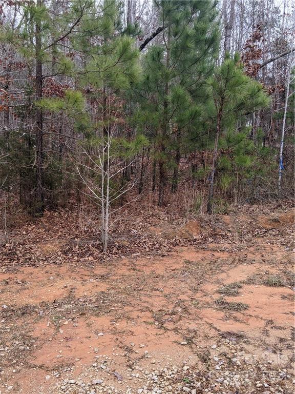 0 Flamingo Road Lancaster, SC 29720 - Photo 7 of 8 a view of a forest with trees