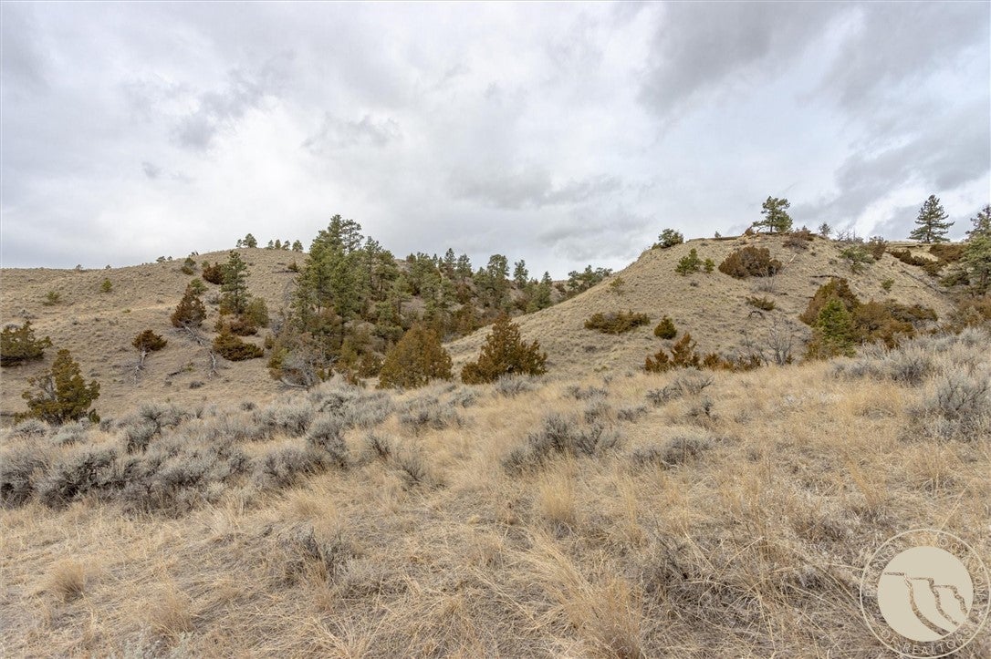 0 Rocky Ridge Road Molt, MT 59057 - Photo 6 of 17 Gallery Image 6