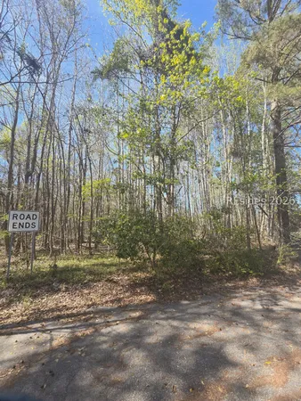 $18,000 | Lot 5 Freeman Street, Brunson, SC 29911
