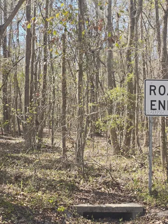 $18,000 | Lot 5 Freeman Street, Brunson, SC 29911