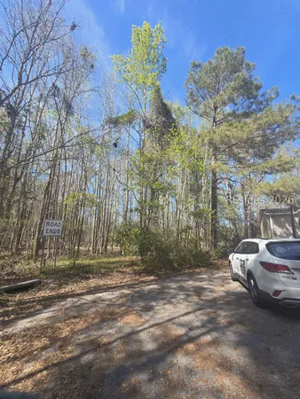$18,000 | Lot 5 Freeman Street, Brunson, SC 29911