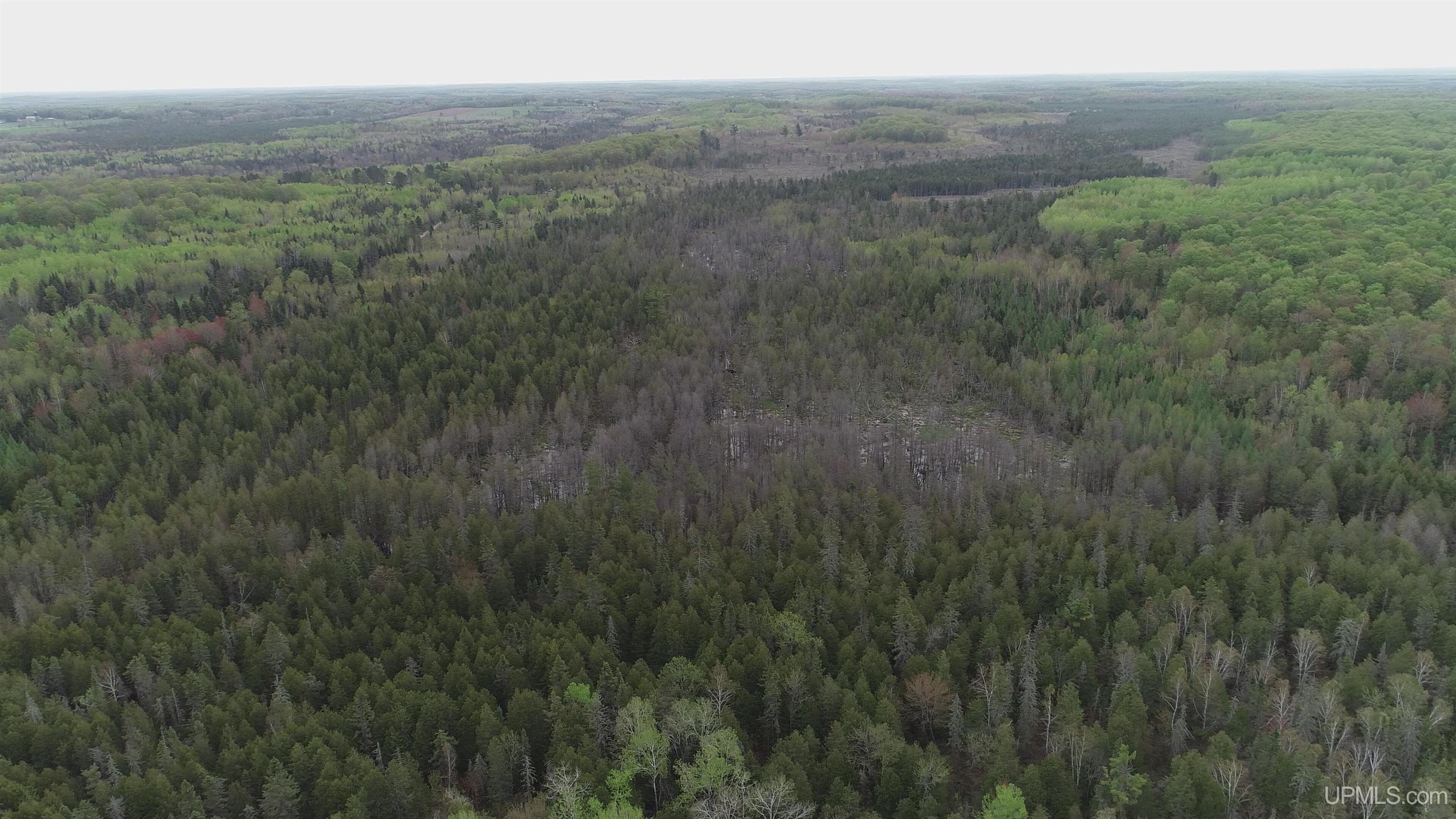 9 Rd Foster City Mi 49834 Road Felch, MI 49831 - Photo 21 of 32