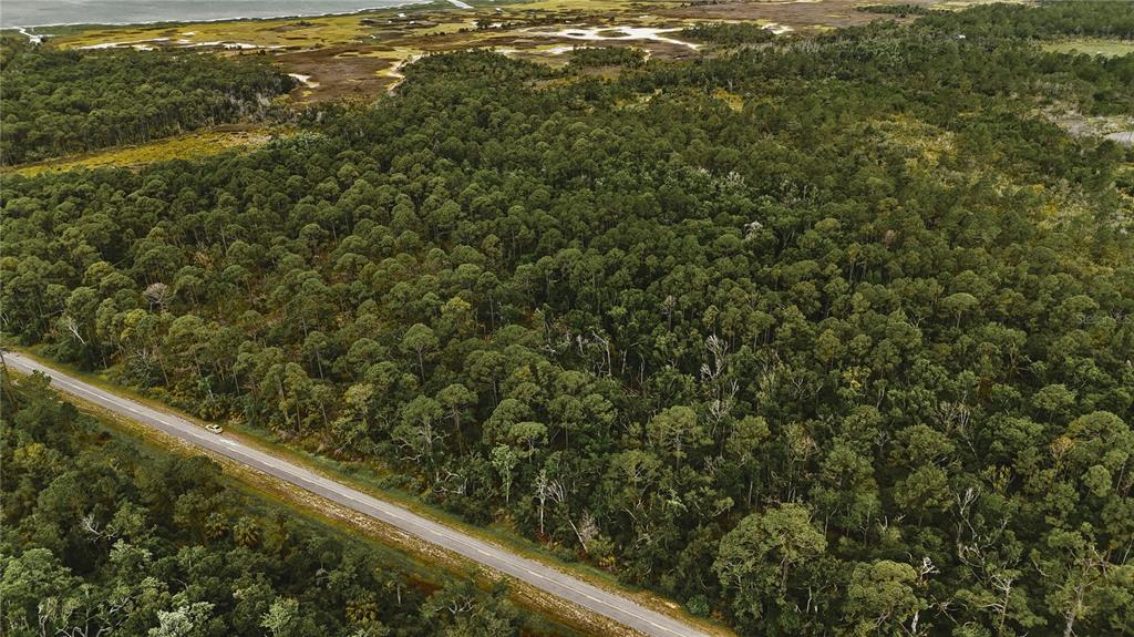 10-11 Adams Beach Road Perry, FL 32348 - Photo 4 of 38