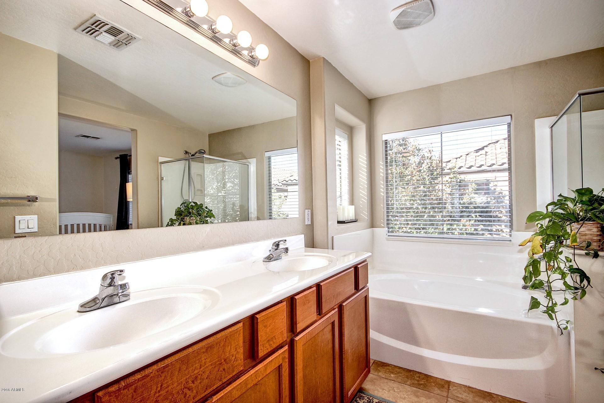 3949 South Rim Road Gilbert, AZ 85297 - Photo 18 of 27 master bath