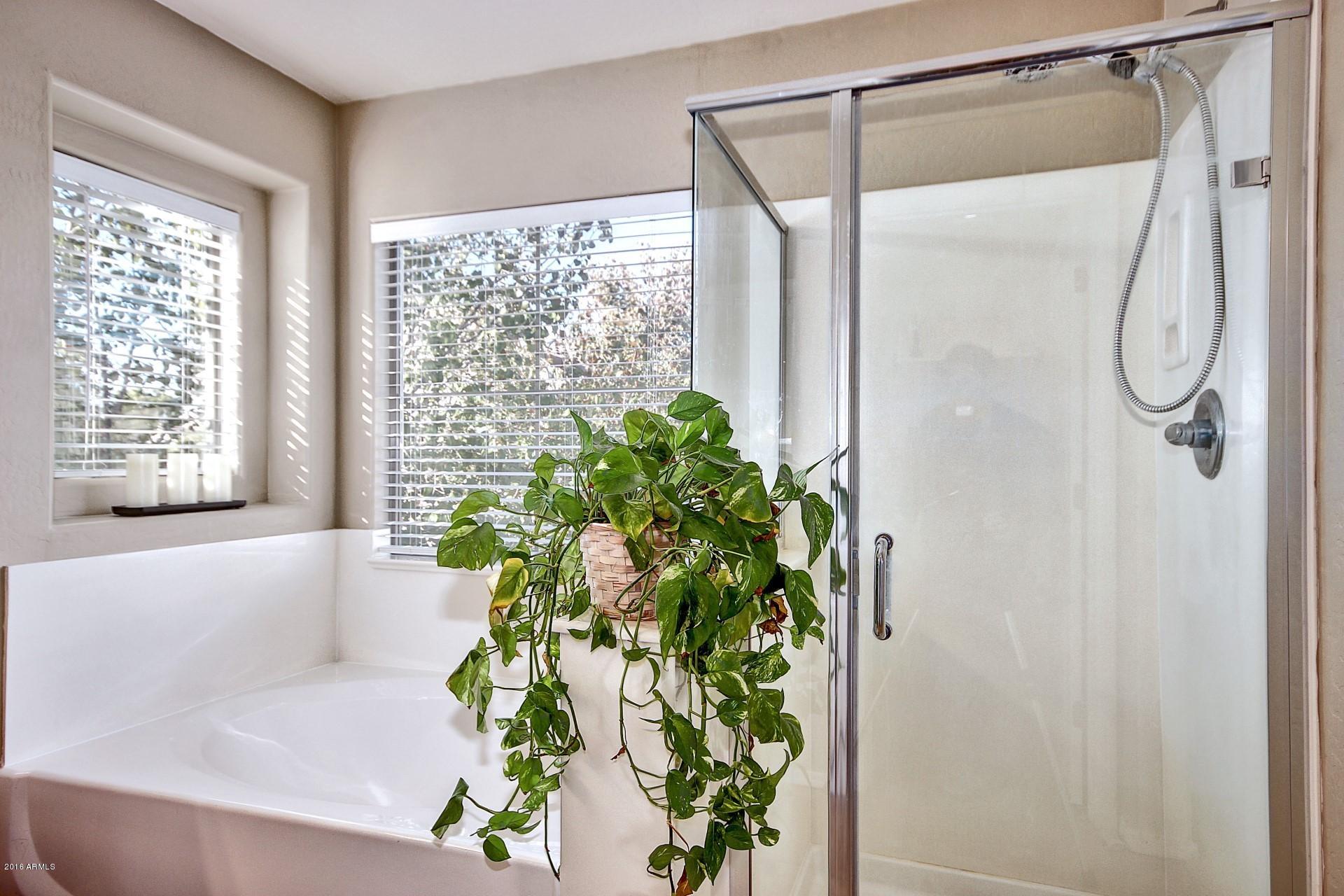 3949 South Rim Road Gilbert, AZ 85297 - Photo 19 of 27 Master tub and shower
