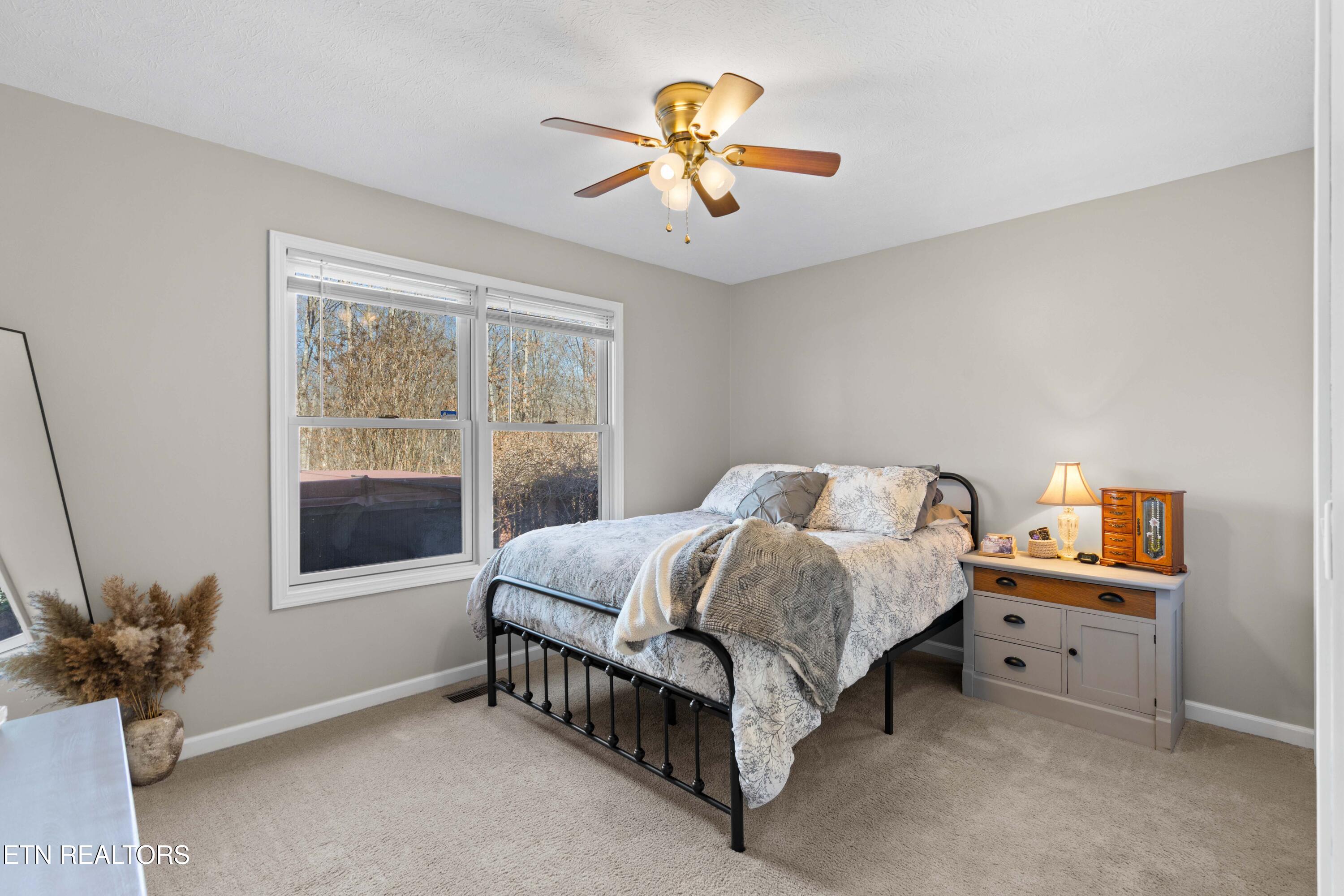 317 Georgee Road Jamestown, TN 38556 - Photo 19 of 42 030A8484