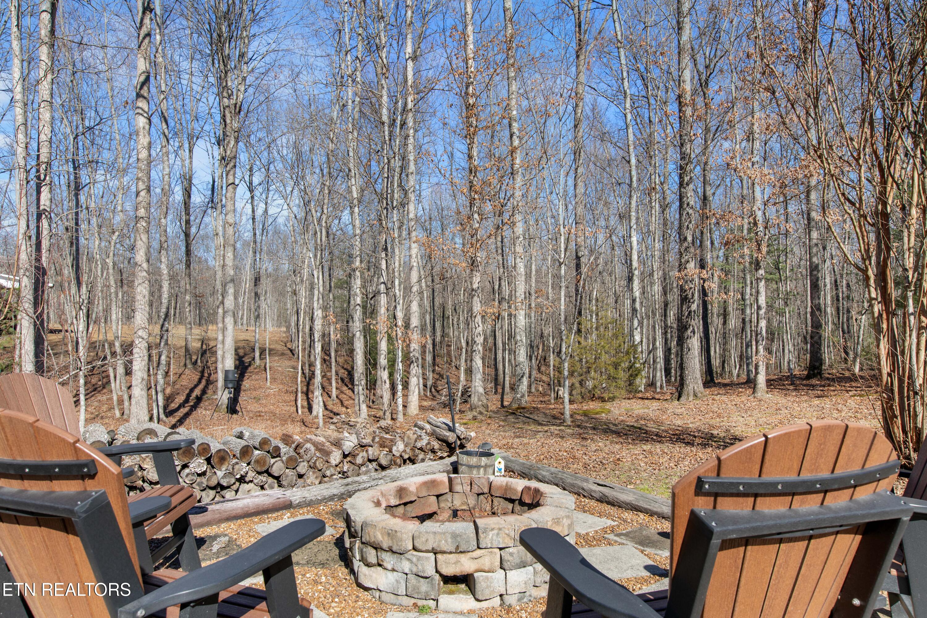 317 Georgee Road Jamestown, TN 38556 - Photo 32 of 42 030A8555