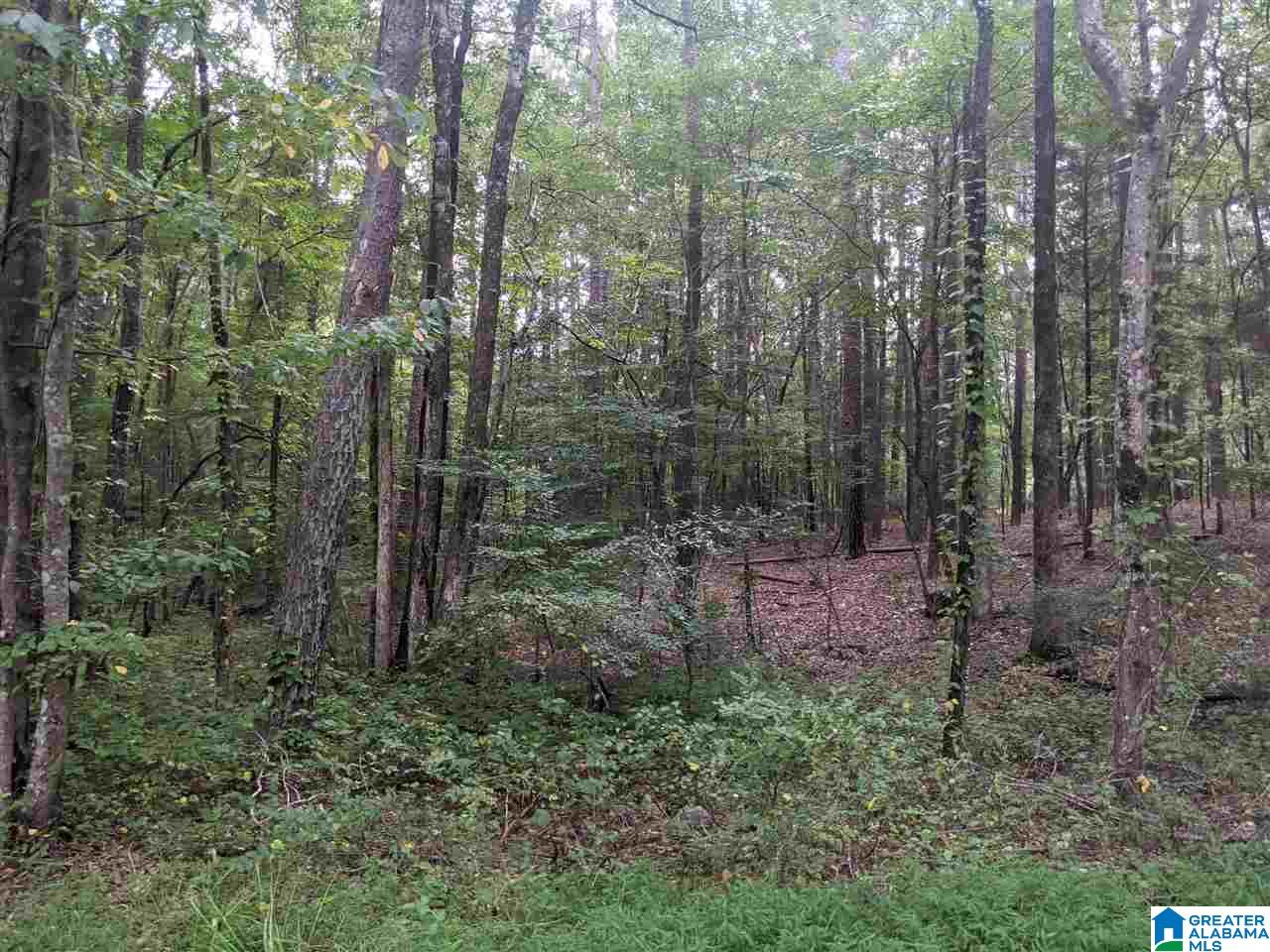 0 Smith Avenue, Unit 3 2 Anniston, AL 36207 - Photo 37 of 43