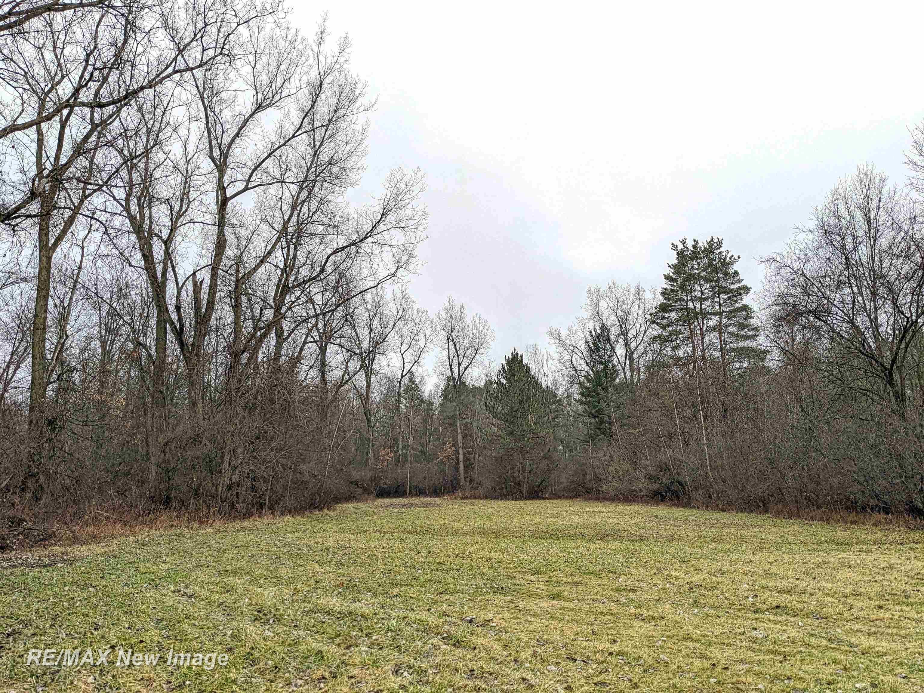 3130 East Moore Road Birch Run, MI 48415 - Photo 12 of 14 Gallery Image 12