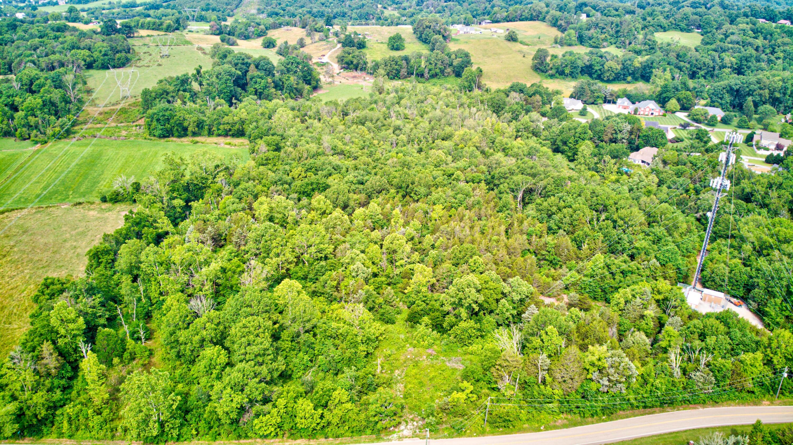 Bell Road Knoxville, TN 37938 - Photo 3 of 3 Country Feel