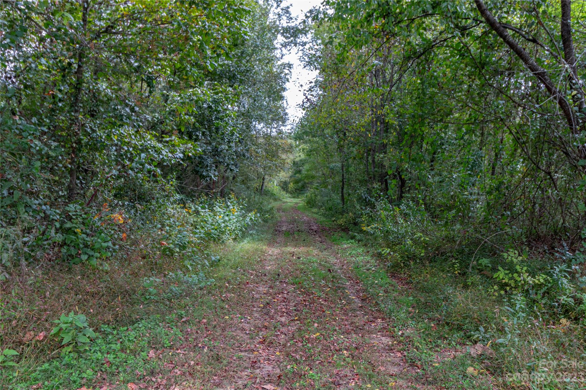 Tbd Airport Road Marion, NC 28752 - Photo 31 of 31 Gallery Image 31