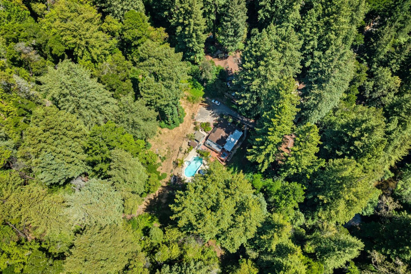 11150 Riverside Road Brookdale, CA 95005 - Photo 9 of 55 a view of a lush green forest with lots of trees