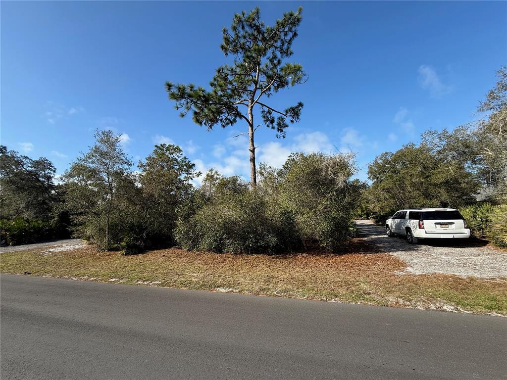 8th Avenue DeLand, FL 32724 - Photo 1 of 1 a view of street with parked cars
