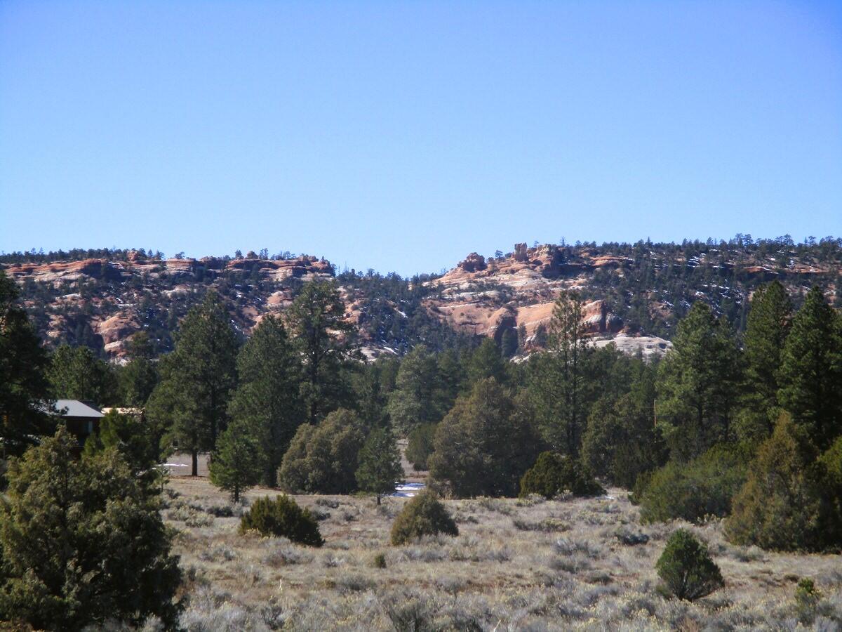 Lot 10 Sagebrush Road Ramah, NM 87321 - Photo 10 of 90 Gallery Image 10