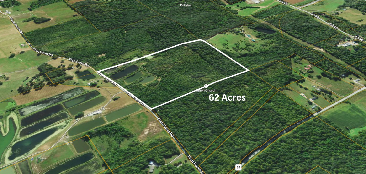 40 Fish Farm Road Golconda, IL 62938 - Photo 9 of 18