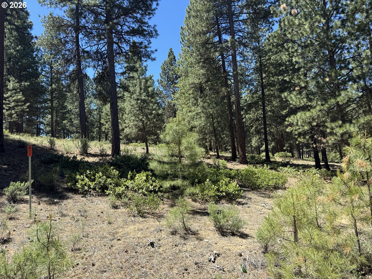 Incline Drive, Unit 22 Chiloquin, OR 97624 - Photo 4 of 19