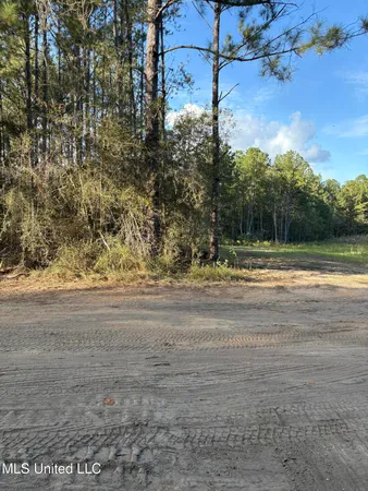 $85,000 | 0 Rayford Shumock Road, Moss Point, MS 39562