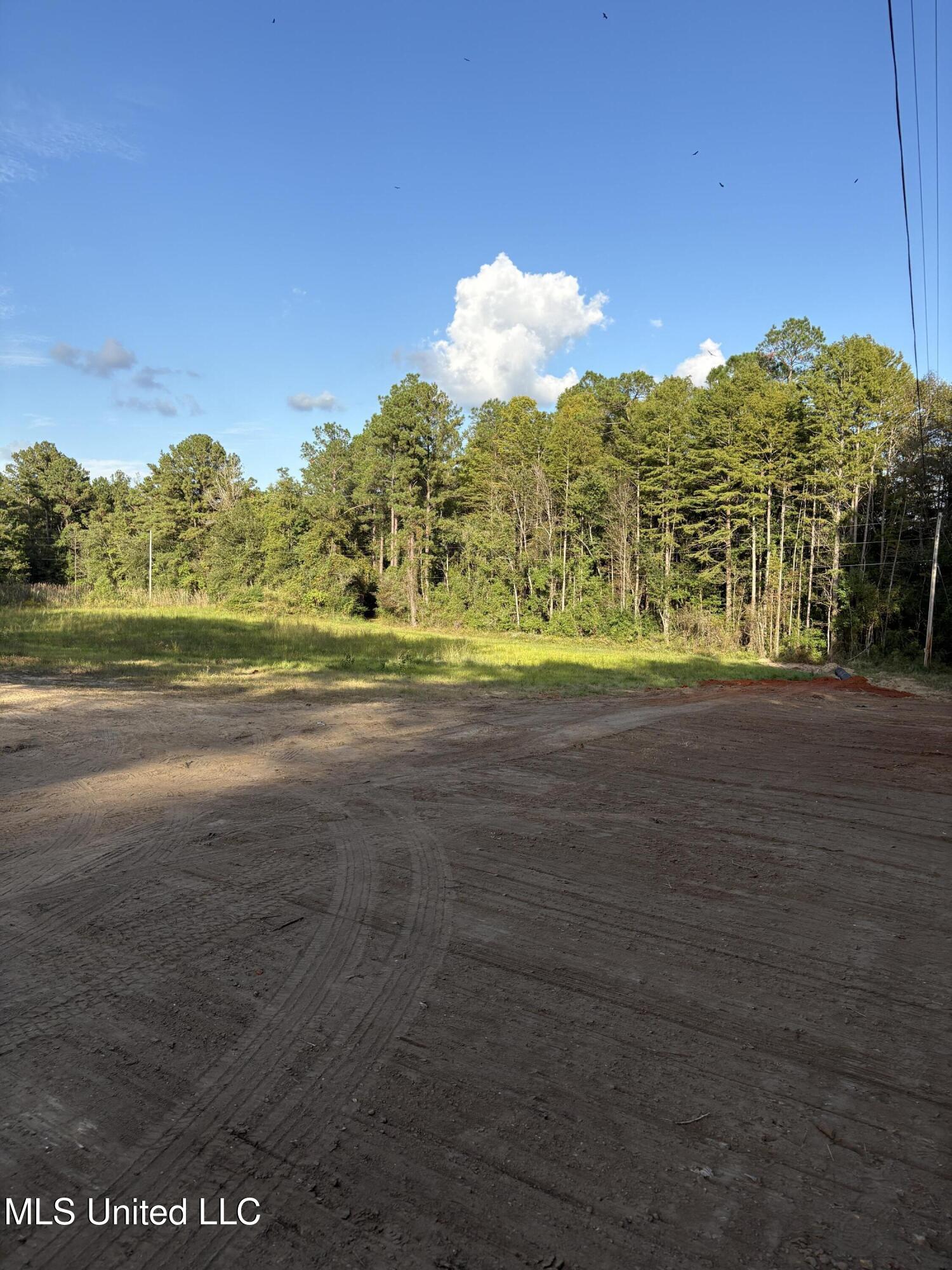 0 Rayford Shumock Road Moss Point, MS 39562 - Photo 12 of 13 IMG_2512(1)