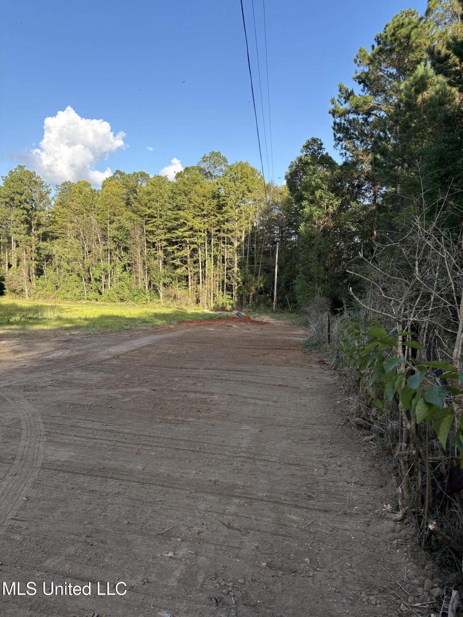 0 Rayford Shumock Road Moss Point, MS 39562 - Photo 13 of 13 IMG_2513(2)