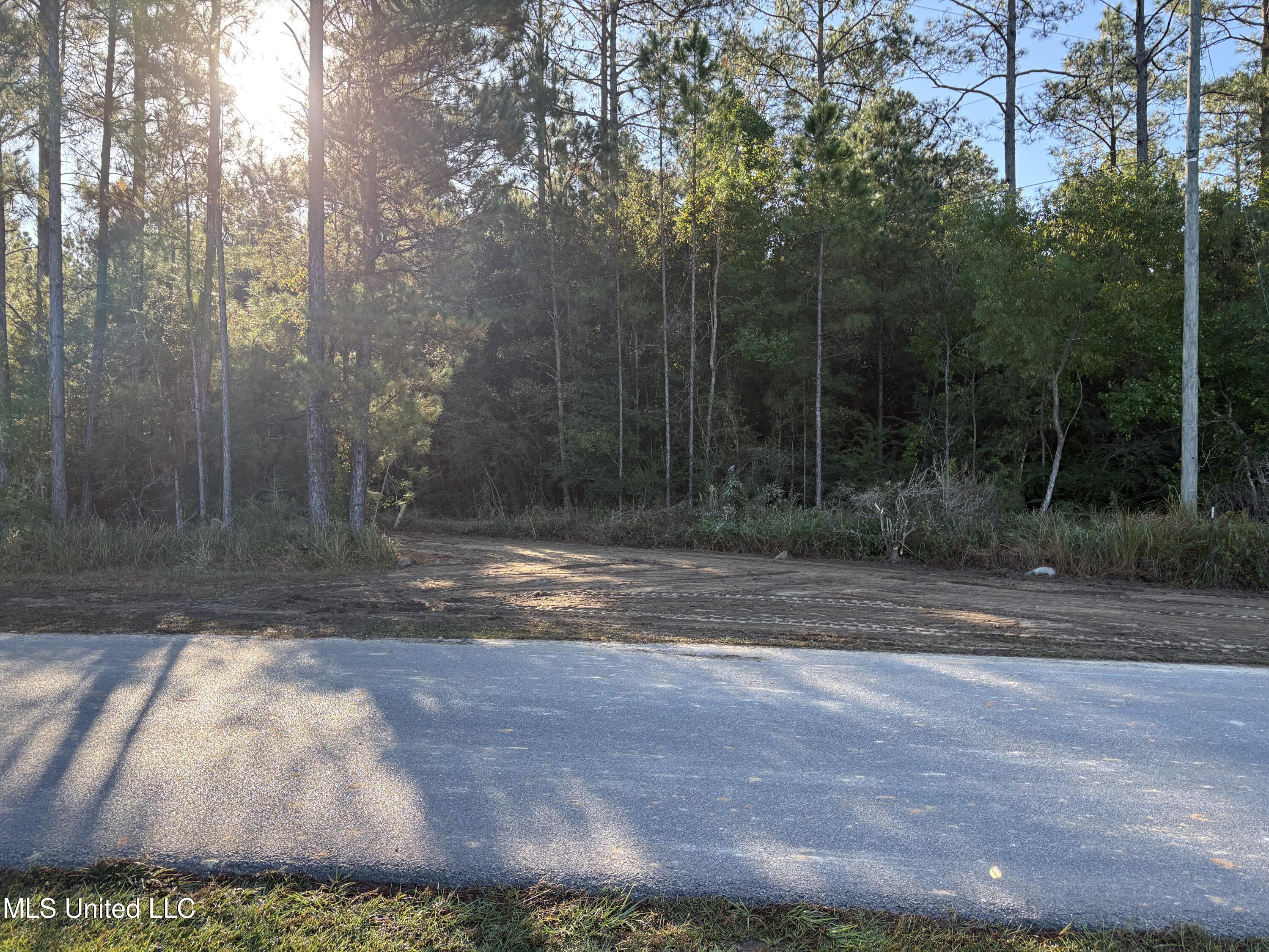 0 Rayford Shumock Road Moss Point, MS 39562 - Photo 3 of 13 RS