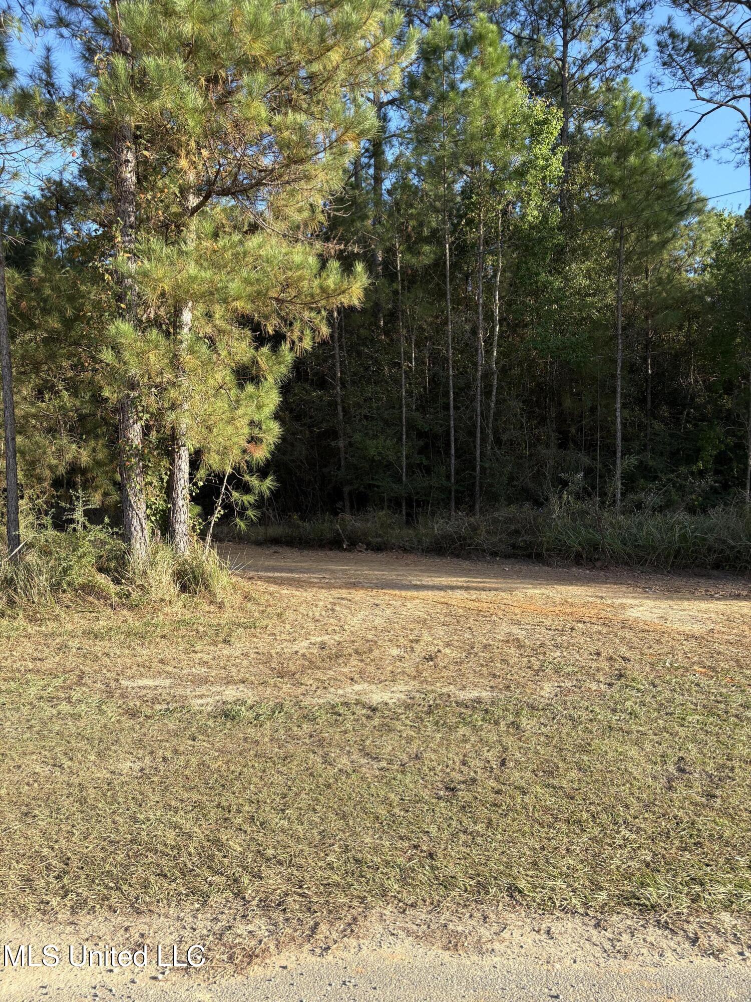 0 Rayford Shumock Road Moss Point, MS 39562 - Photo 5 of 13 IMG_2502