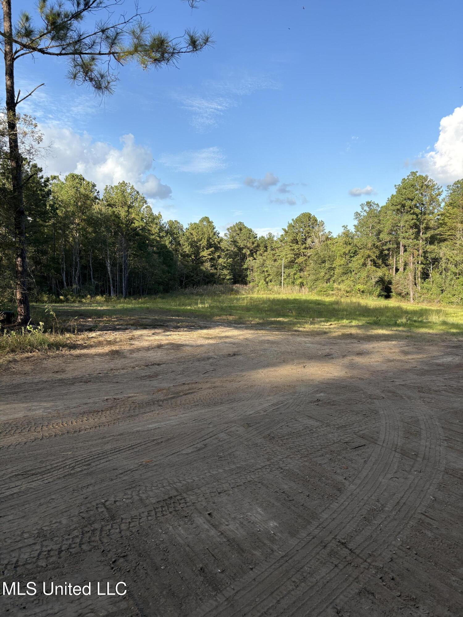 0 Rayford Shumock Road Moss Point, MS 39562 - Photo 10 of 13 IMG_2510(1)