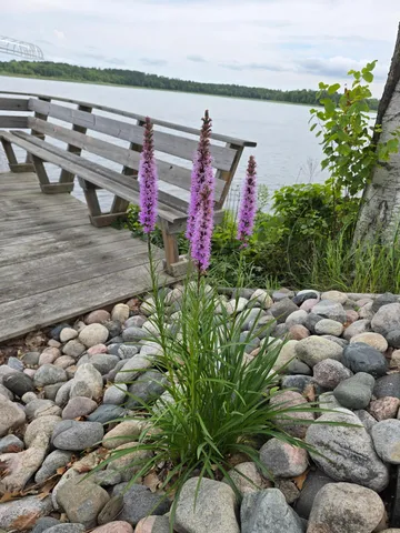 $650,000 | 4234 Winnie Dam Lane, Deer River, MN 56636