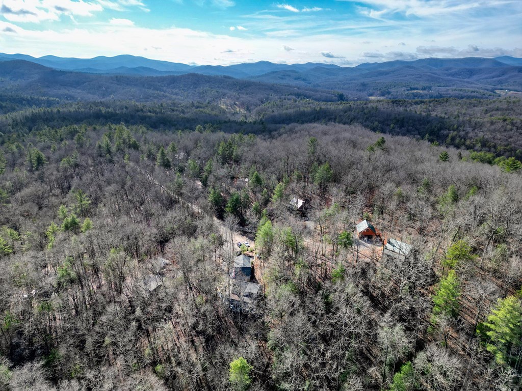 492 Chinkapin Drive Blue Ridge, GA 30513 - Photo 11 of 45 a view of a lush green hillside and a houses