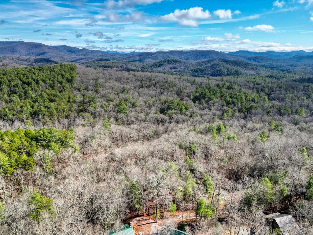 492 Chinkapin Drive Blue Ridge, GA 30513 - Photo 13 of 45 a view of a city with lush green forest