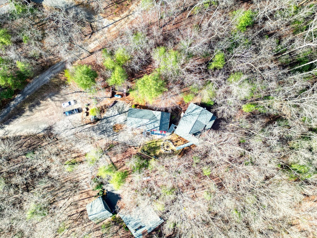 492 Chinkapin Drive Blue Ridge, GA 30513 - Photo 9 of 45 a backyard of a house with large trees