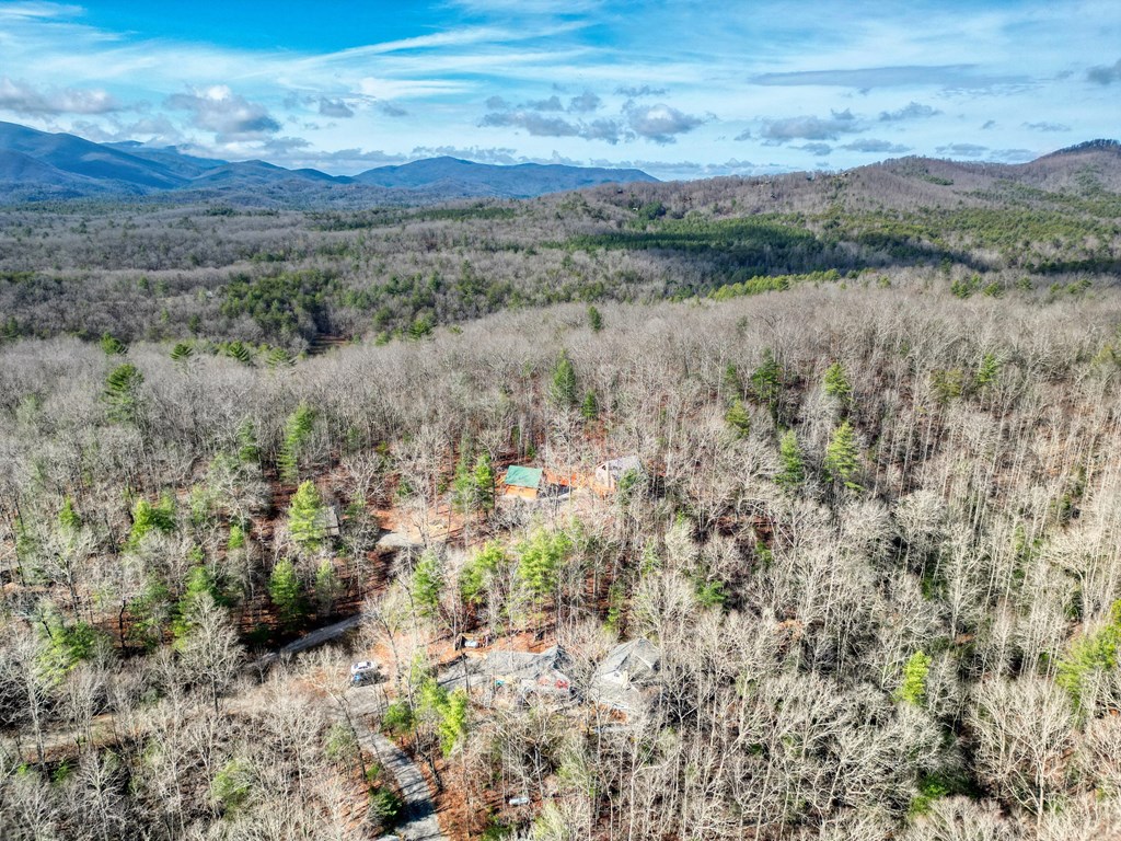 492 Chinkapin Drive Blue Ridge, GA 30513 - Photo 10 of 45 a view of a lush green forest with lush green forest