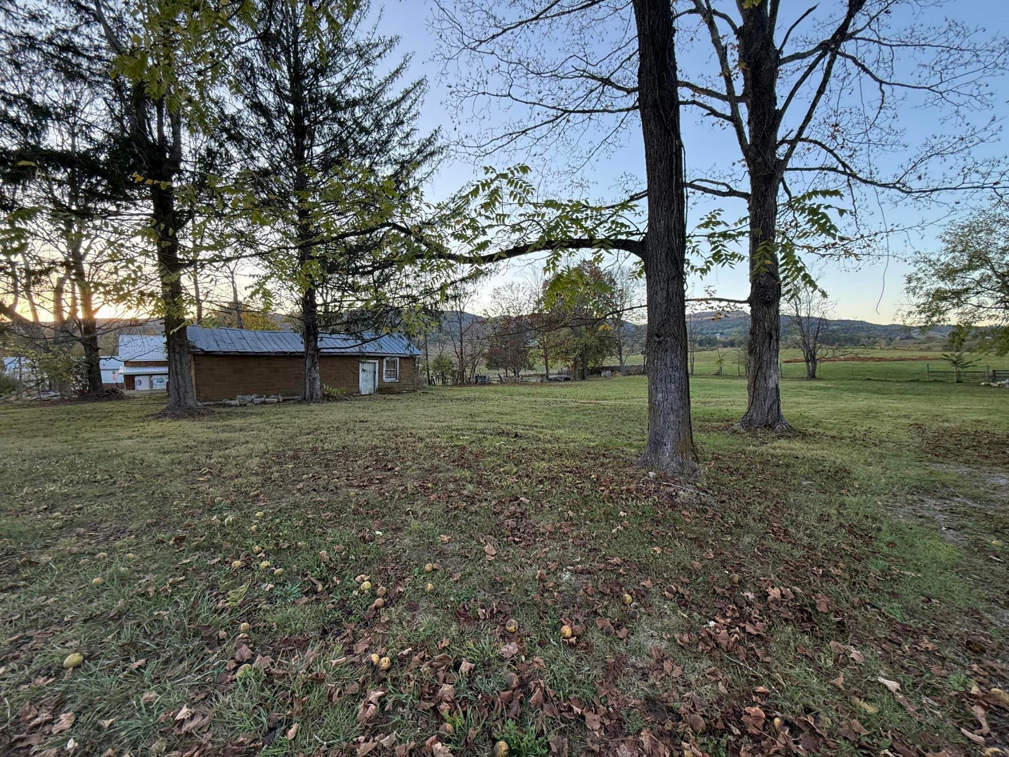 22 Knobs Road Union, WV 24983 - Photo 141 of 181 Gallery Image 141