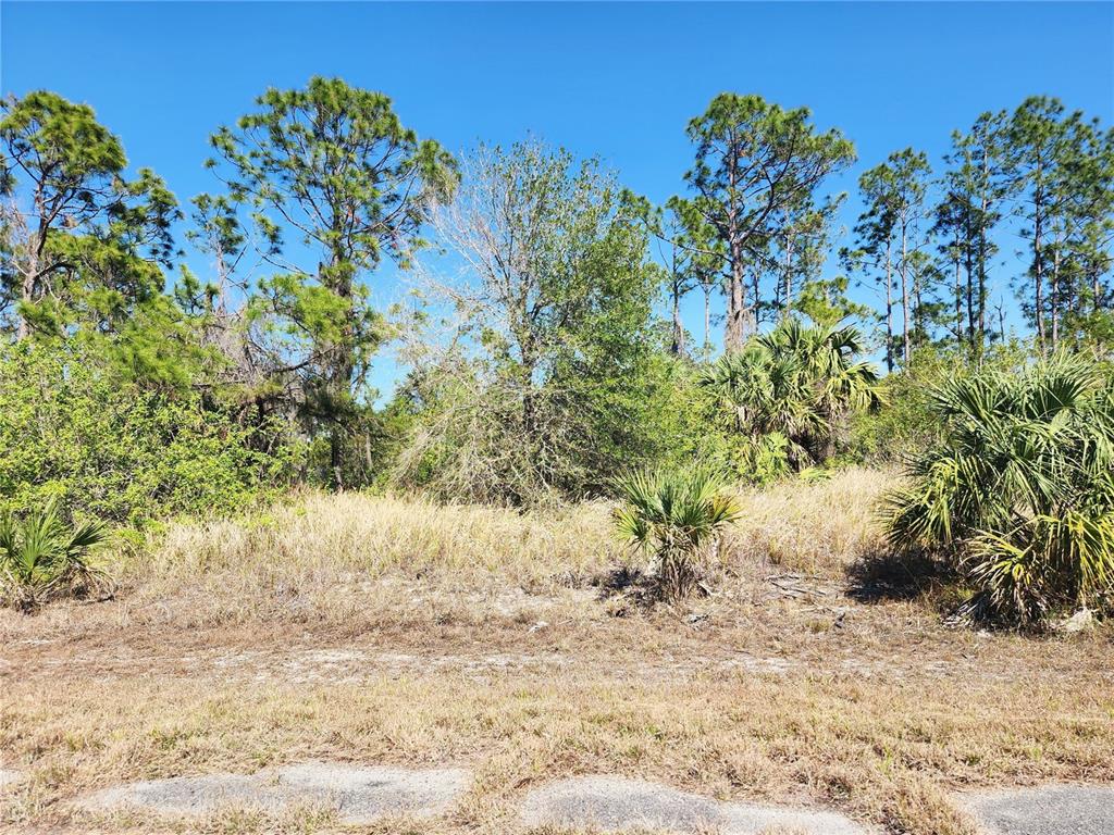 14 Hamerton Road North Port, FL 34288 - Photo 1 of 1 Gallery Image 1